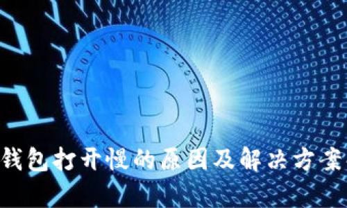 LTC钱包打开慢的原因及解决方案解析