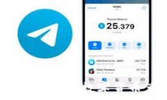   如何将比特派钱包中的数字货币兑换成人民币？