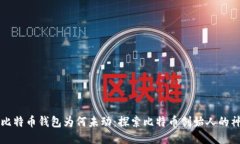 中本聪比特币钱包为何未动：探索比特币创始人