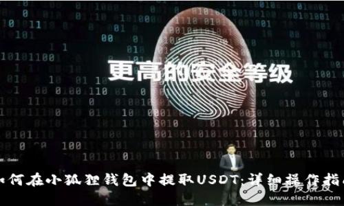 如何在小狐狸钱包中提取USDT：详细操作指南