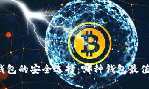 比特币钱包的安全选择：哪种钱包最值得信赖？