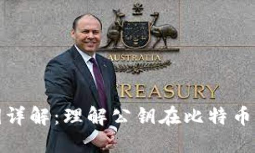 比特币钱包公钥详解：理解公钥在比特币交易中的重要性