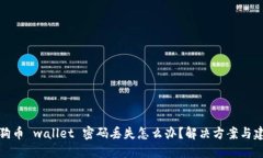 狗狗币 wallet 密码丢失怎么办？解决方案与建议