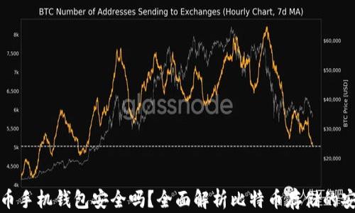 
比特币手机钱包安全吗？全面解析比特币存储的安全性