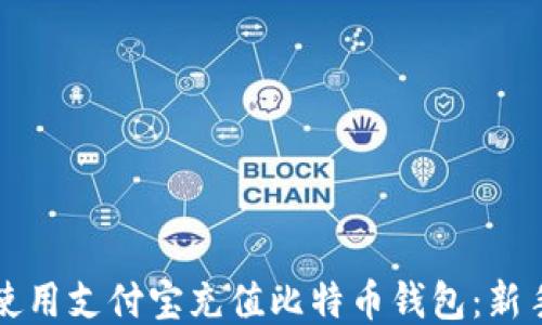 
如何使用支付宝充值比特币钱包：新手指南