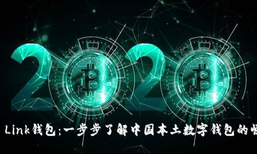 AP Link钱包：一步步了解中国本土数字钱包的崛起