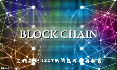 支持各种USDT的钱包选择与推荐