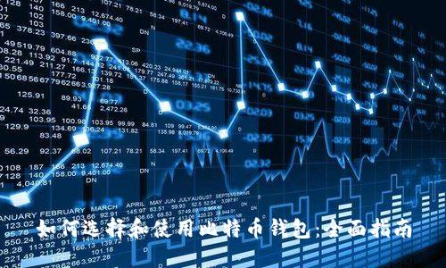 如何选择和使用比特币钱包：全面指南