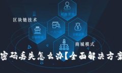 比特币钱包密码丢失怎么办？全面解决方案与实