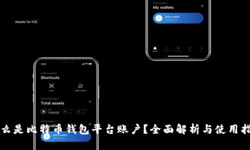 什么是比特币钱包平台账户？全面解析与使用指南