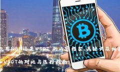 以下是关于“TP钱包用NBN还是USDT”的内容框架、