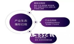 如何在ImToken中添加BSC钱包地址：详细指南