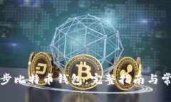 如何高效同步比特币钱包：完整指南与常见问题