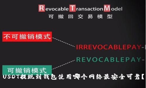 USDT提现到钱包使用哪个网络最安全可靠？